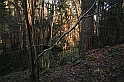 Rostoczek 11.2008 420